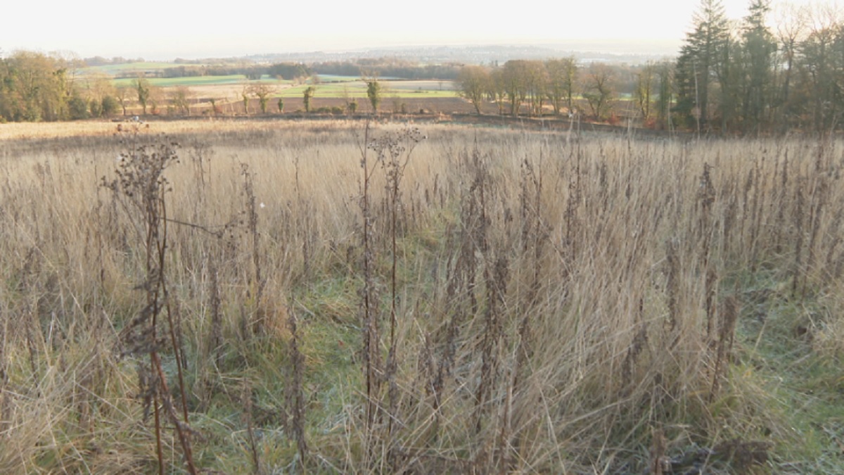 Controversial crematorium plan on outskirts of Dundee could return to Scotland’s highest civil court