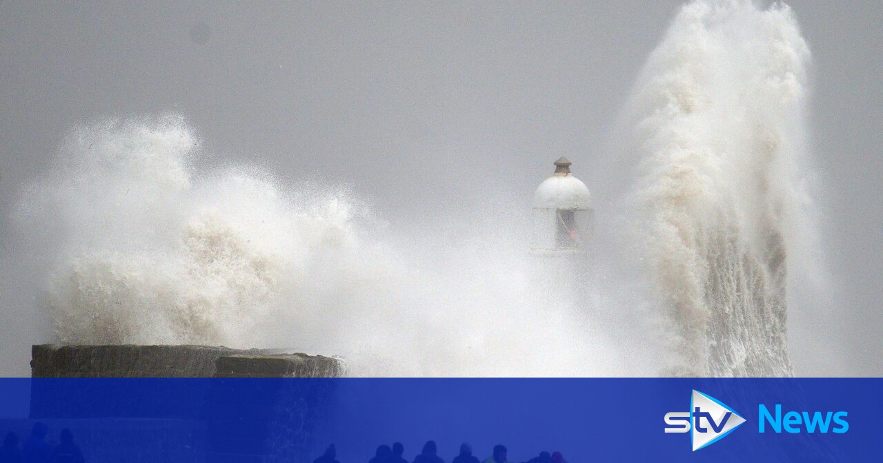 Man dies after tree falls on van as Storm Darragh lashes UK | STV News