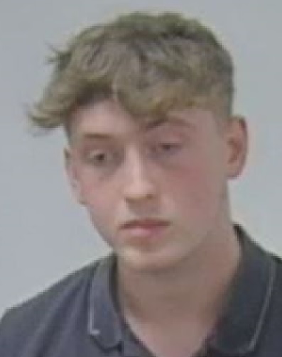 Thomas Johnson, aged 19, of Stainswick Lane, Shrivenham, pleaded guilty to the offences in a hearing at Oxford Crown Court.