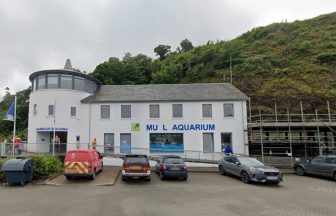 Plans for purpose-built Mull Aquarium at Tobermory Bay given go-ahead