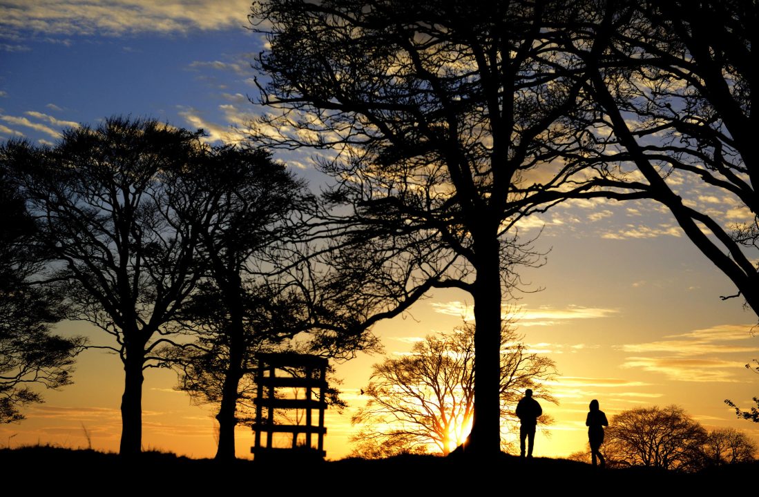 Ministers urged to give Galloway locals ‘meaningful say’ on national park plans