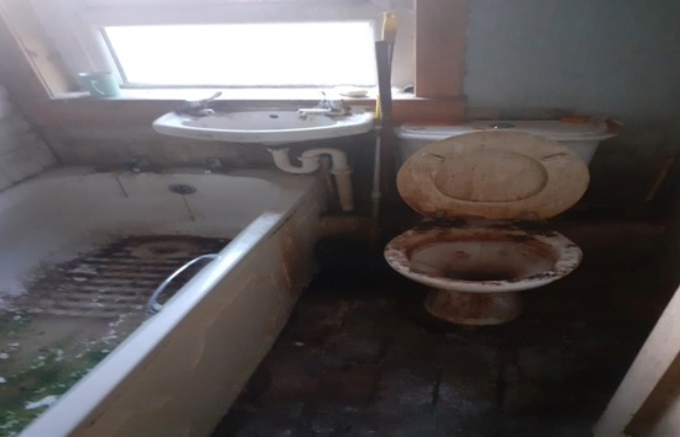 The pictures show living rooms knee-deep in rubbish, and a bathtub with weeds growing in it.