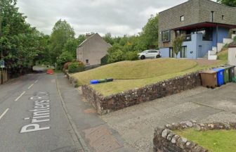 Three dogs killed in Boxing Day fire in ground floor flat in Stirling