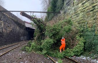 16,000 without power days after Storm Eowyn batters Scotland