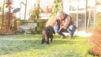 Owner of elderly dog rescued from sewer describes reunion as ‘best feeling in the world’