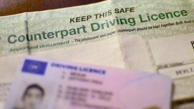 Digital driving licences coming this year as part of new government app