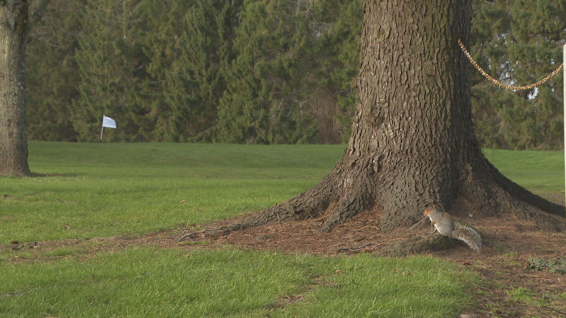 Caird Park golf course, which was opened in 1923, is set to close in April