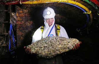 Eau de Toilet: Would you wear perfume made from sewer fatbergs?