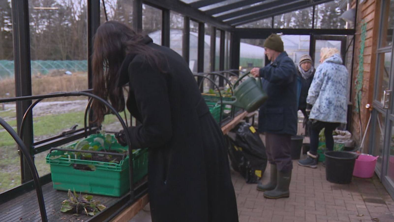 Gardeners' call to reject plans for new football stadium