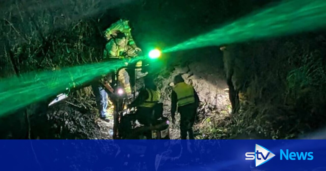 Eight hour rescue operation after Cocker Spaniel falls down drain in ...