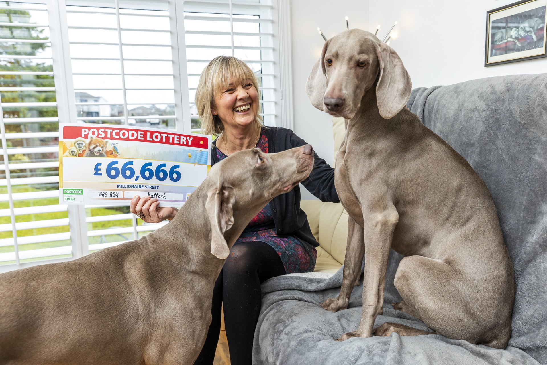 Aileen celebrates with her two Weimaraner rescues.