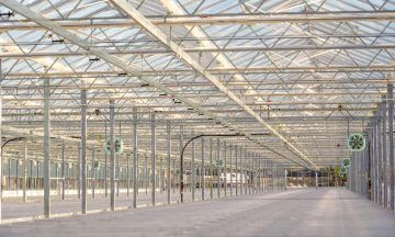 Elgin glasshouse could help grow up to 19 million trees a year