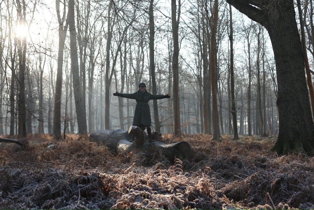 Princess of Wales shares forest photograph taken by Prince Louis to mark World Cancer Day