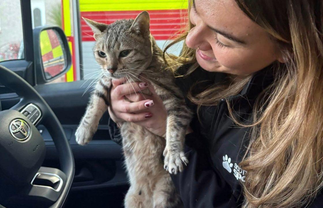 Cat rescued after spending five days trapped beneath building in Dundee during Storm Eowyn