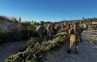 Recycled Christmas trees used to combat coastal erosion and rebuild dunes in Lossiemouth