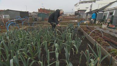 Allotments dating back 160 years facing battle as owner to sell site