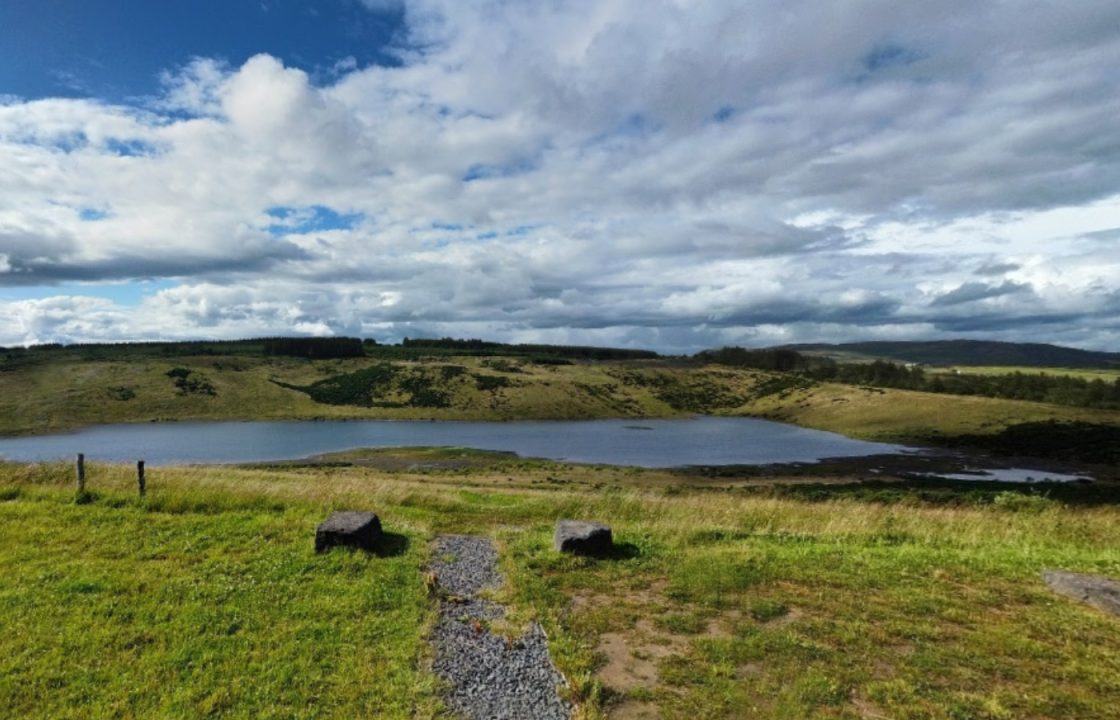 Dead birds found at popular Fife dog walking site sparking avian flu concerns