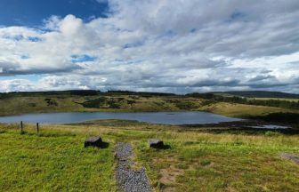 Dead birds found at popular Fife dog walking site sparking avian flu concerns