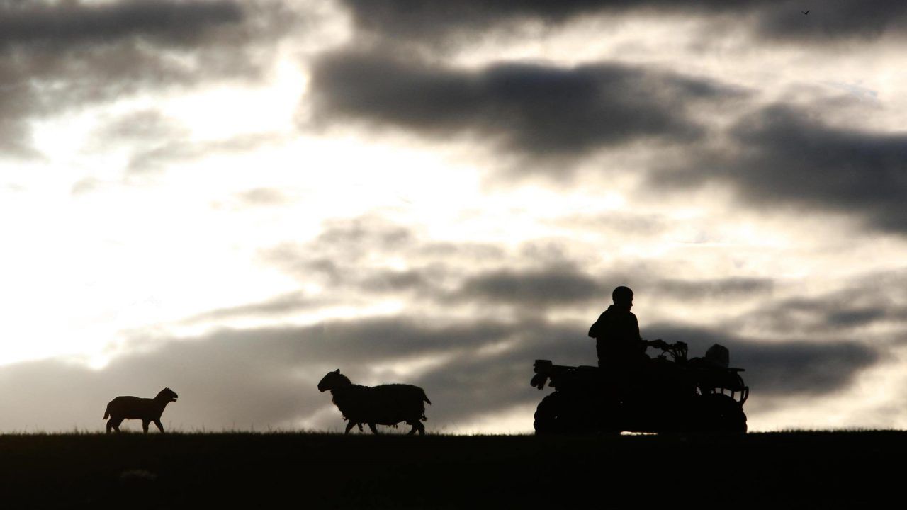 Swinney ‘united’ with farmers in opposing UK Government’s tax changes