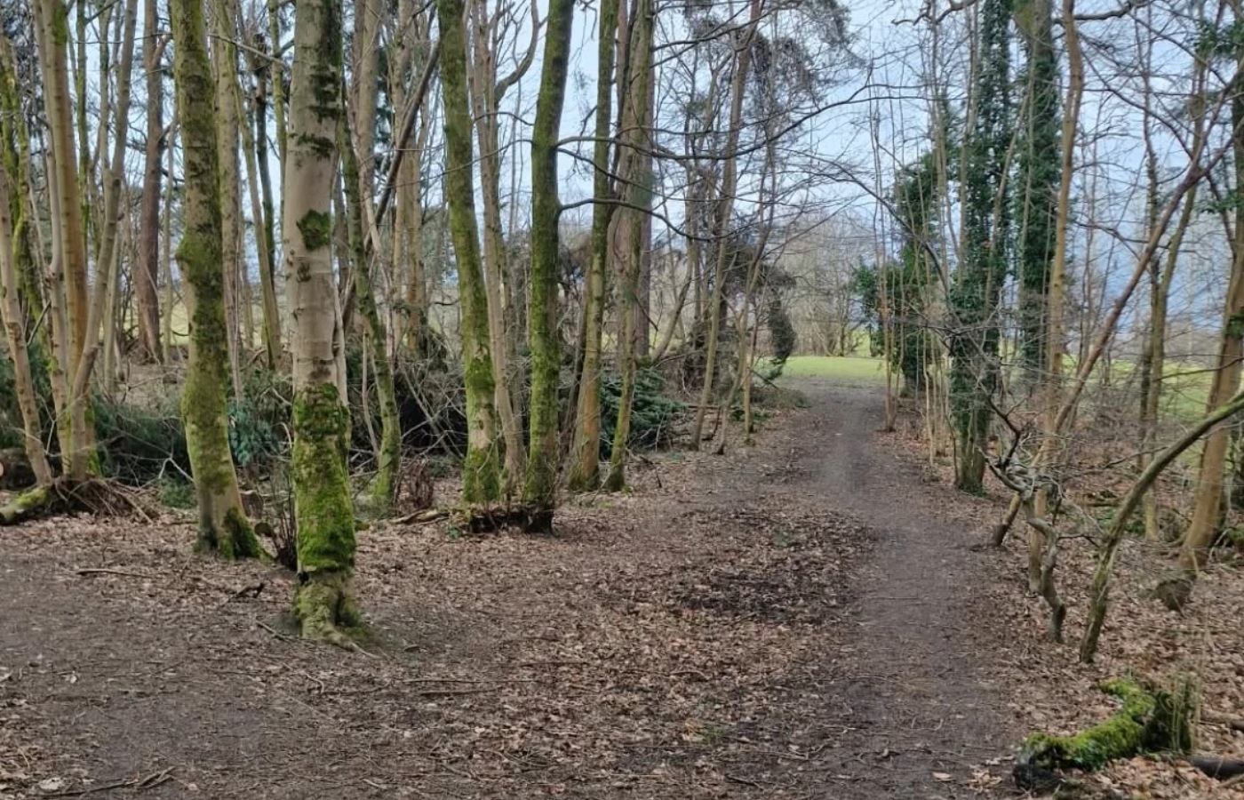 Castlemilk park run disrupted by prankster