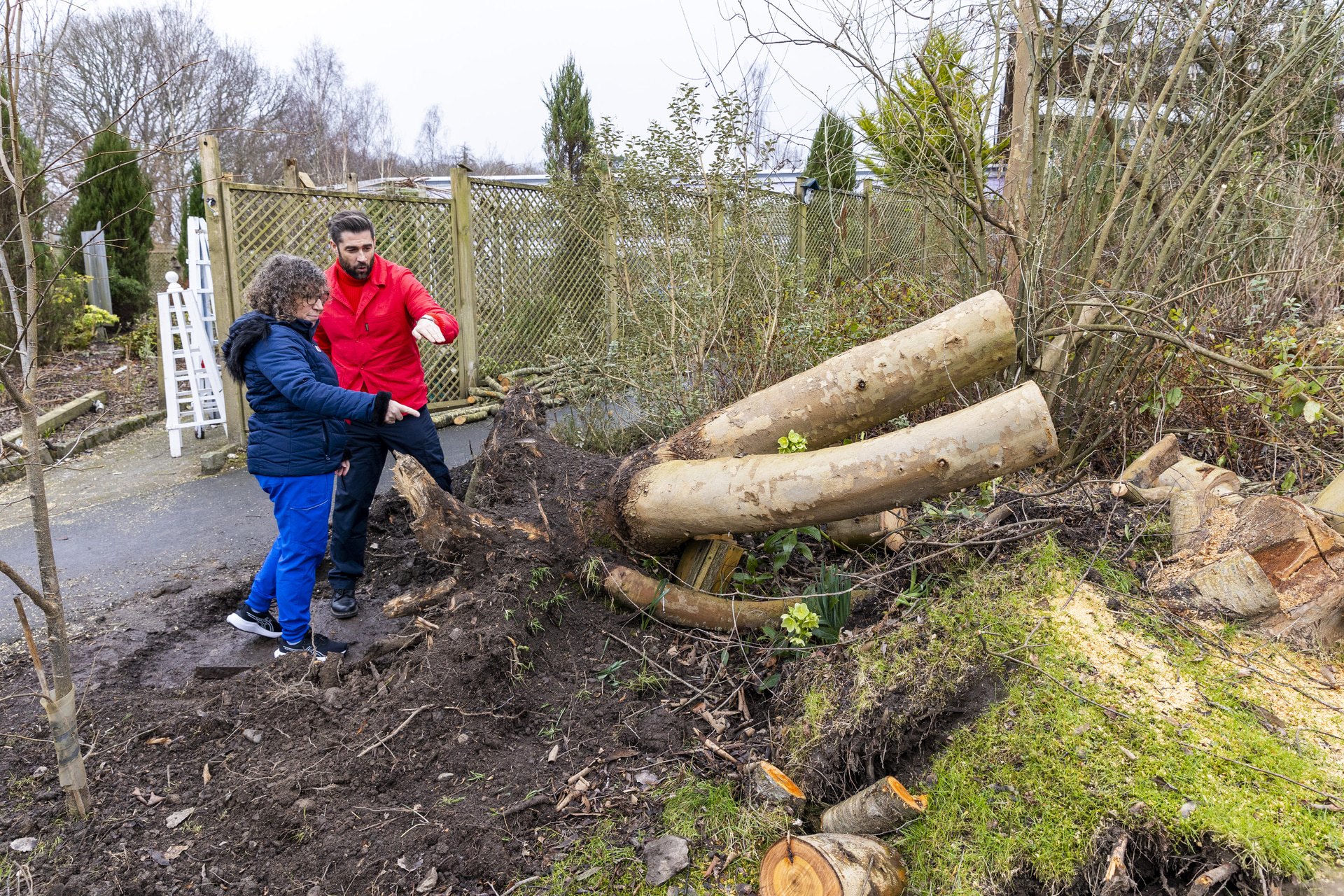 90mph winds uprooted mature trees, destroyed fences and wrecked the garden’s polytunnel.