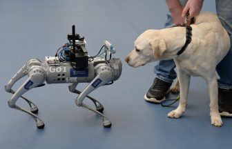 Robot guide dog among AI technology showcased conference for visually impaired in Glasgow