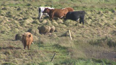 Crofters fear new law could threaten Scotland’s rural heritage