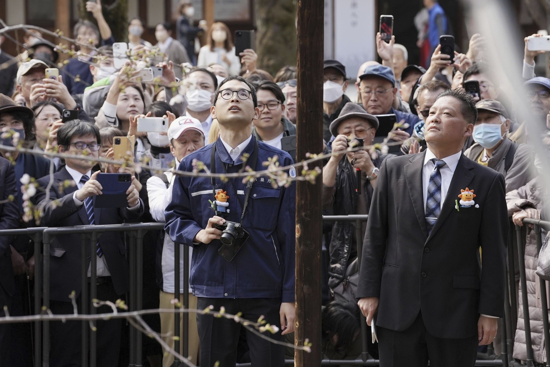 Officials from the Tokyo Regional Meteorological Observatory of the Japan Meteorological Agency check the blooming status of the Somei Yoshino specimen tree at Yasukuni Shrine in Tokyo, Monday March 24, 2025. (Kyodo Photo via AP)