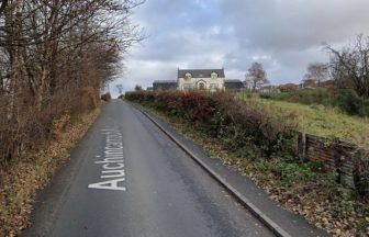 Man fighting for life and another injured after car crashes into tree