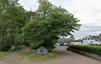 ‘Significant damage’ after vehicle tears up Edzell Golf Course