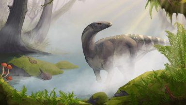 Jurassic dinosaur from the Isle of Skye revealed