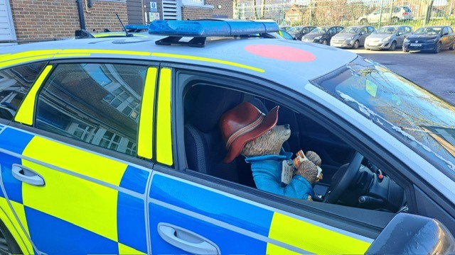 The Paddington Bear statue stolen from Newbury in a police car after it was recovered.