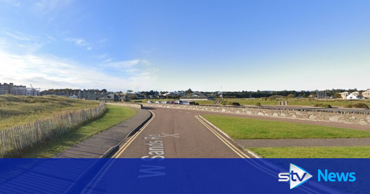 Woman reported after Jack Russell and owner injured in dog attack