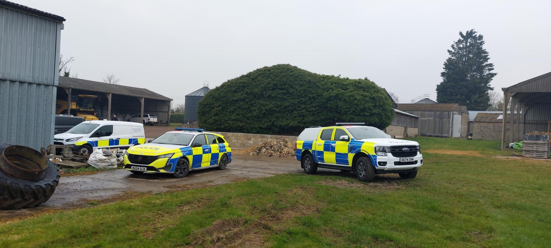 Police cars outside the farm where the attack on the alpacas happened.