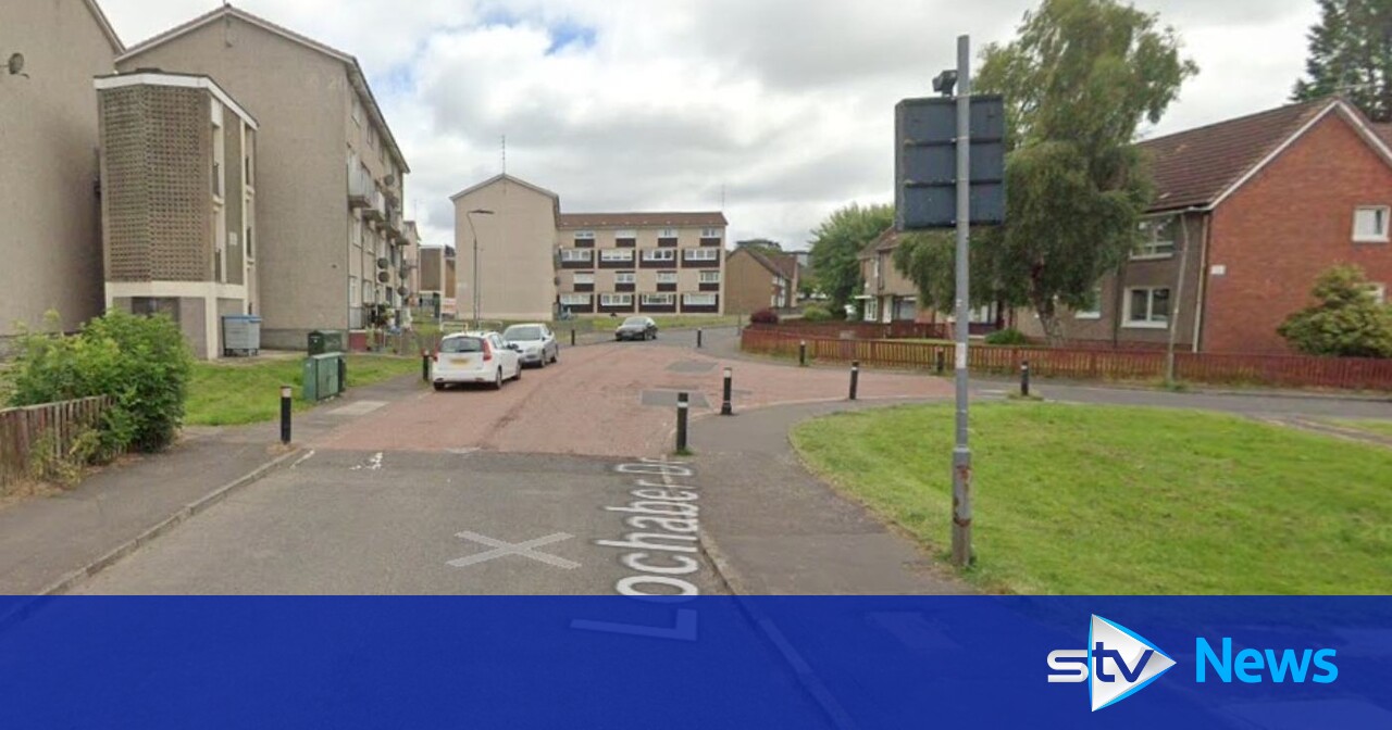 Woman and dog injured in 'targeted attack' as police launch manhunt