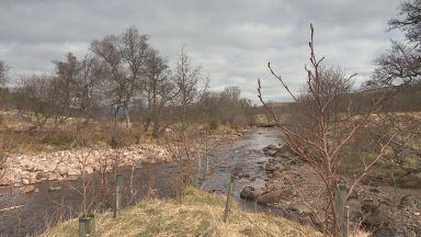 Charity to plant a million trees to cool down River Dee
