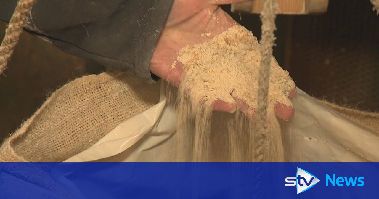 Historic mill in Angus milling flour again for first time in 40 years