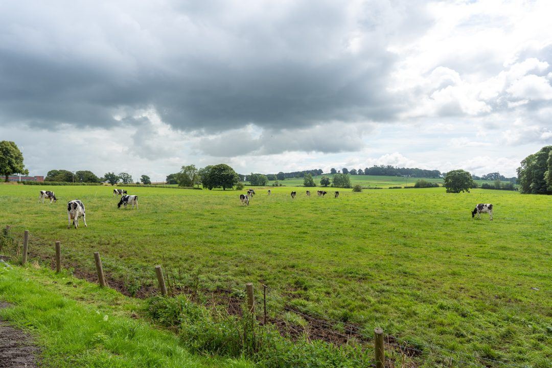 Applicants sought to take over running of long-established Acrehead dairy farm in Dumfries and Galloway