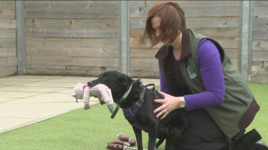Dog and cat home cuts staff and hours amid soaring costs
