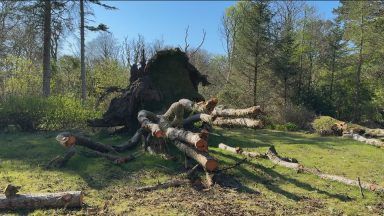 Clean up still ongoing on Gigha two months after Storm Eowyn