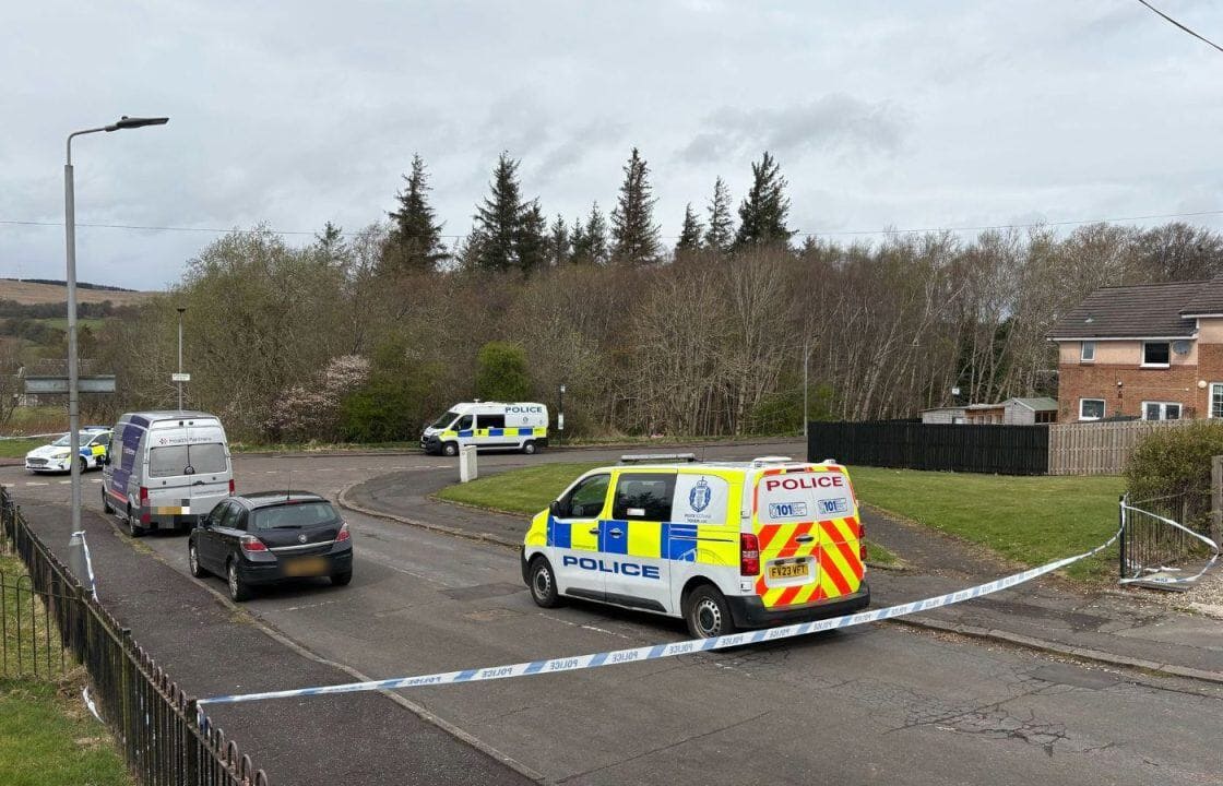 The incident took place on Springhill Street.