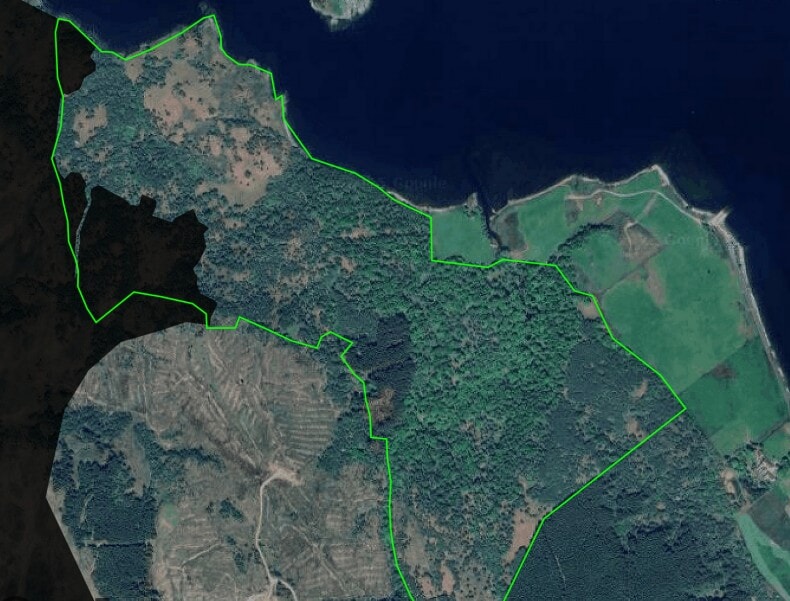 Bute Community Forest burned area.