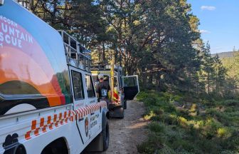 Mountain biker rescued after suffering head injury in crash at Abernethy forest
