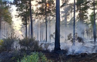 Pictures show damage from Culbin Forest wildfire as crews battle blaze for third day
