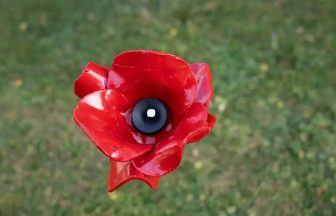 Veterans and families to attend VE Day 80th anniversary commemorations