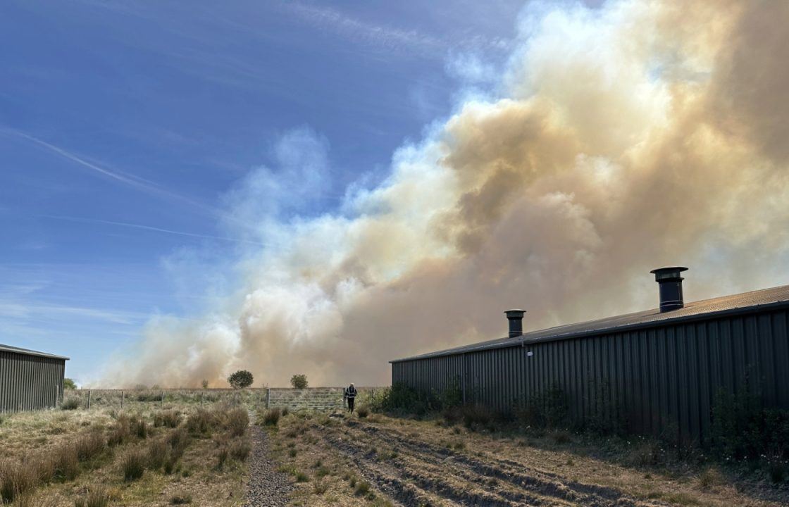 Firefighters battling Cumnock wildfire that reignited an hour after being extinguished 