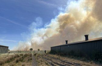 Firefighters battling Cumnock wildfire that reignited an hour after being extinguished 