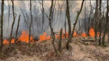 Community looks to future after ‘apocalyptic’ wildfire on Isle of Bute