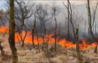 Damage from Isle of Bute community forest wildfire ‘hard to estimate’ after blaze raged for five days