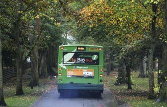 Bus drivers to take strike action in pay dispute